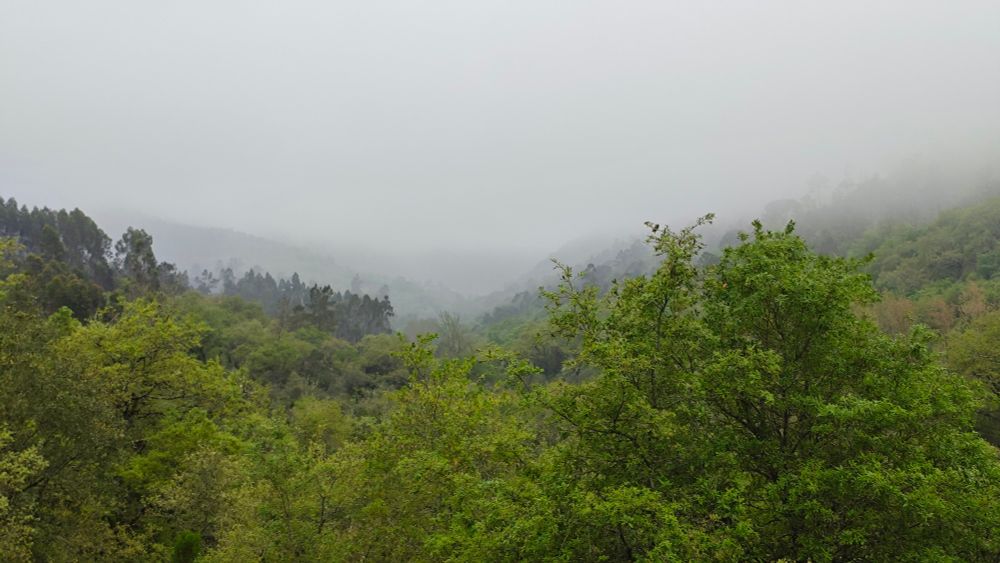 Fog in the hilly areas of central Portugal
