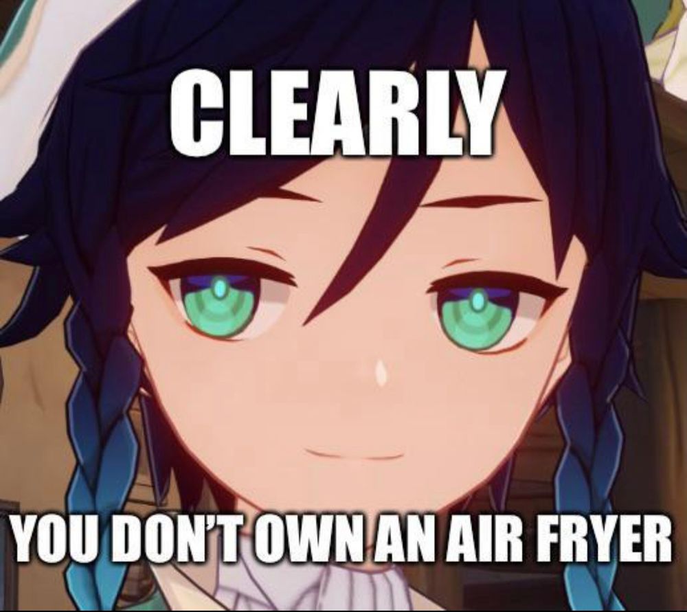 A woman looking at someone off to the side with a smug look on their face with the text, "CLEARLY YOU DON'T OWN AN AIR FRYER" on top of the image