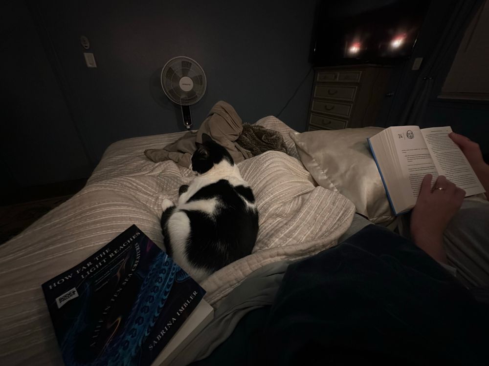 Black and white cat laying in bed next to a book, someone reading next to her. 