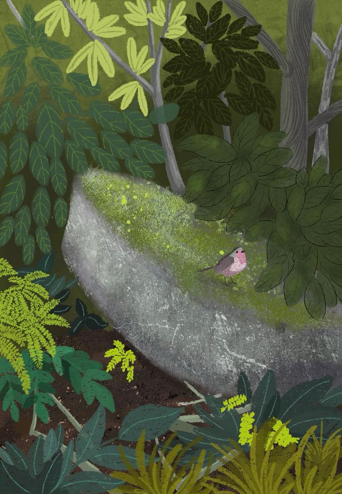 Landscape of a big rock in the forest