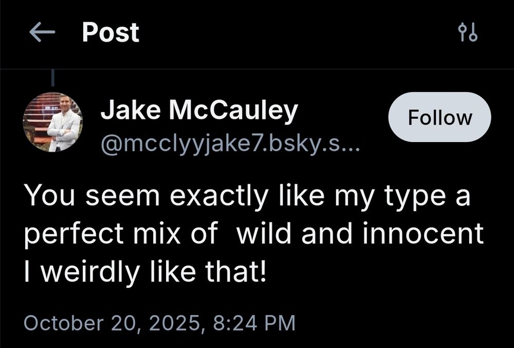 A screenshot of Jake McCauley saying "You seem exactly like my type a perfect mix of  wild and innocent I weirdly like that". I am puking in his shoes ASAP