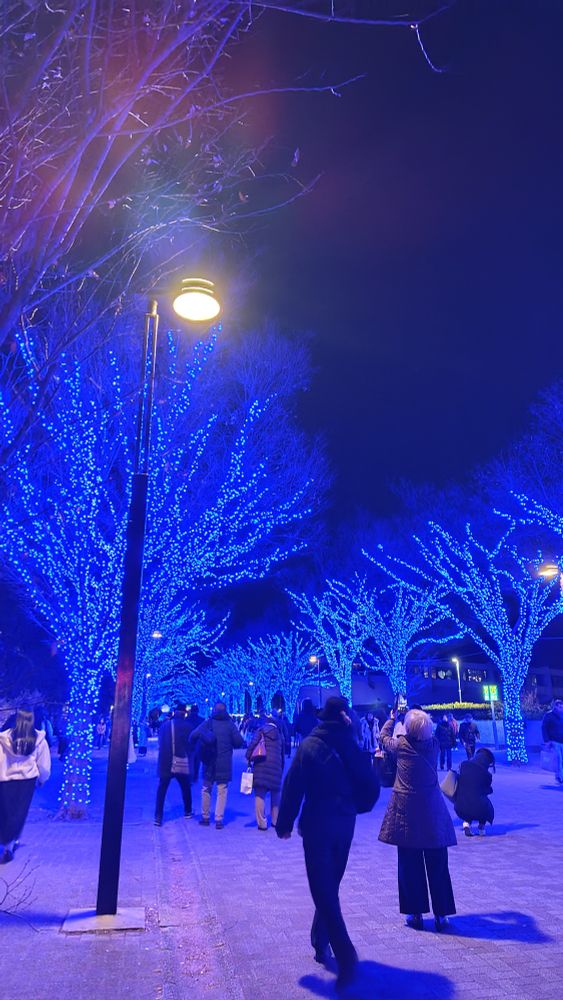 NHKホール前の並木道、青のイルミネーション