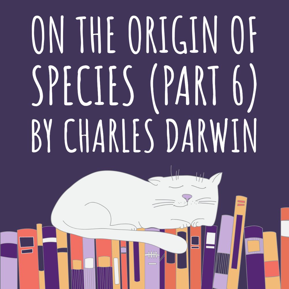 Dark purple graphic at the bottom of which is a shelf of books in light purple, orange, dark purple, and yellow hues. A contented white cat sleeps on top of the books. Above the cat is a title announcing this week's new Boring Books for Bedtime episode, part 6 of "On the Origin of Species" by Charles Darwin.