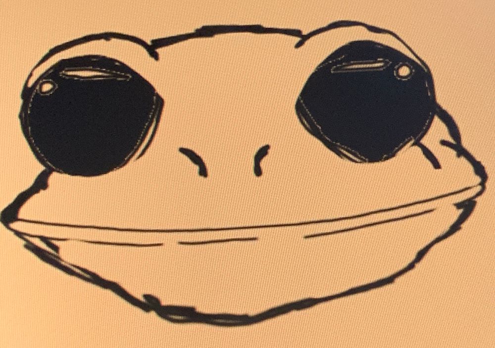 A sketch of a frog’s face with a wide mouth and dark black eyes