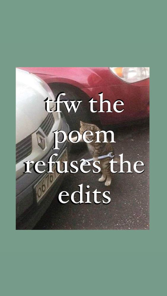 tfw the poem refuses the edits: a cat holding a wrench in front of a car