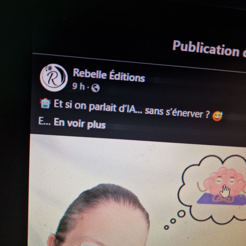 Photo d'écran du compte Facebook REBELLE ÉDITIONS

Intitulé "et si on parlait d'IA... Sans s'énerver" 