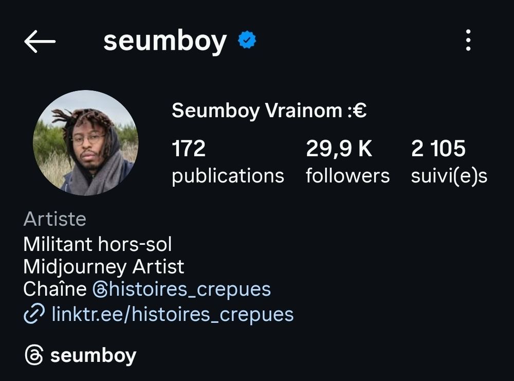 Screenshot du profil de Seumboy dans lequel il est indiqué "Midjourney artist" 