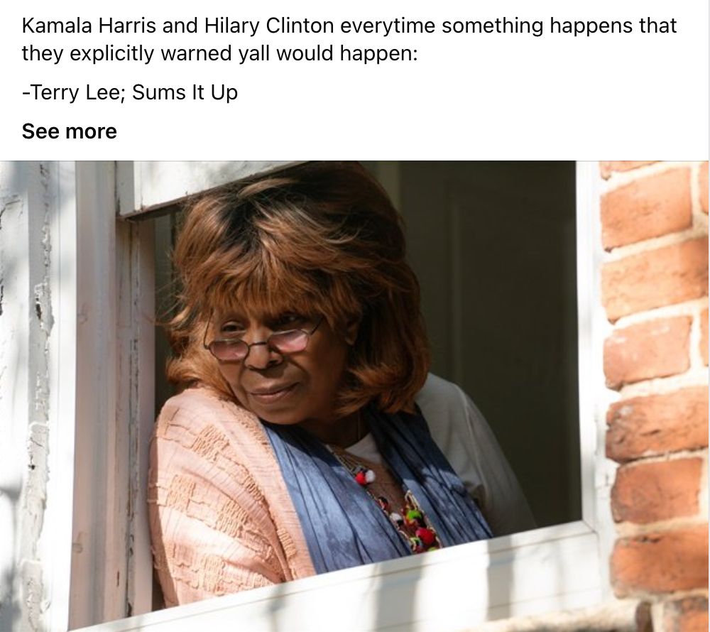Photo of a woman looking out a window with the caption: Kamala Harris and Hilary Clinton everytime something happens that they explicitly warned yall would happen:
-Terry Lee; Sums It Up