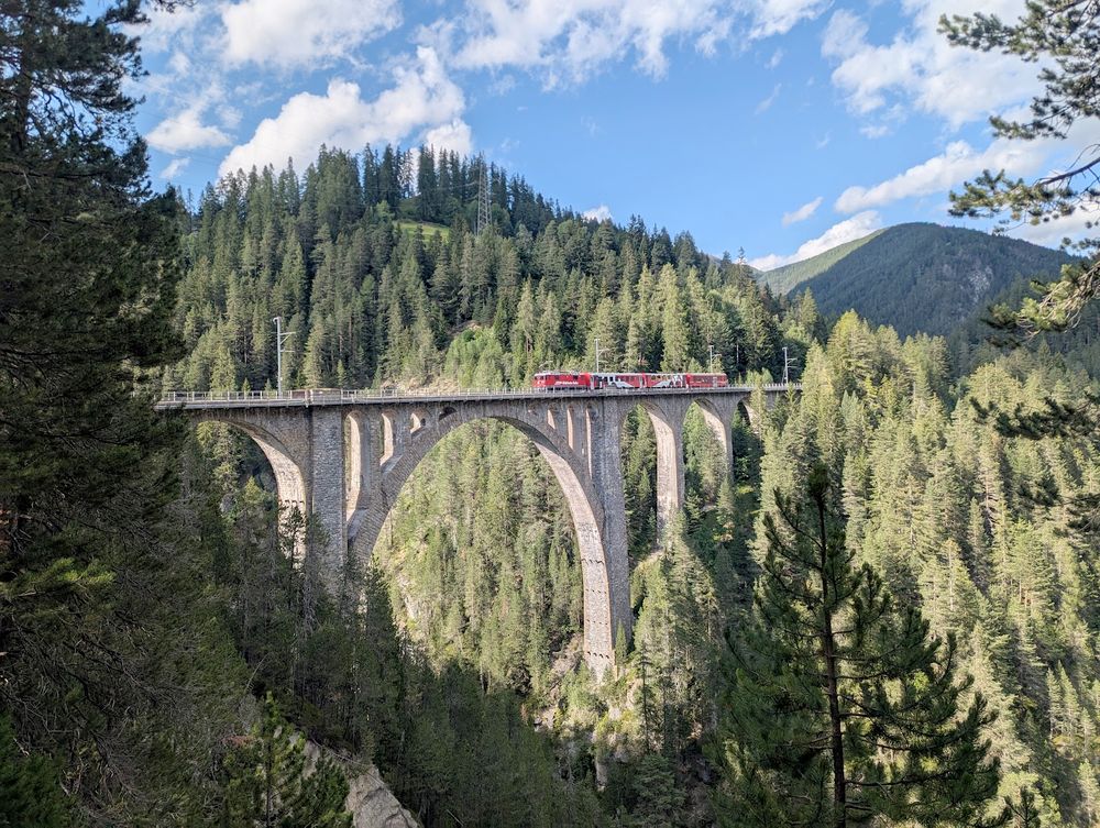 A train crosses the Wiesener Viadukt. 