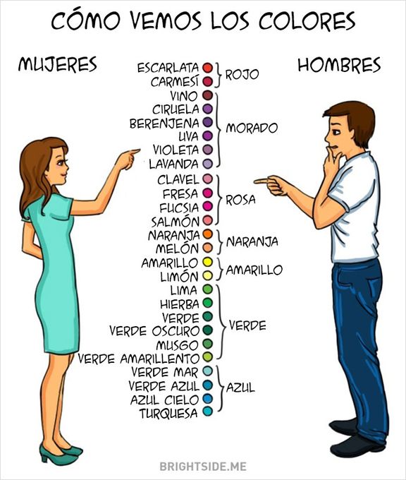 dibujo con una lista de colores, que señala una mujer y una simplificación de la misma, que señala el hombre
