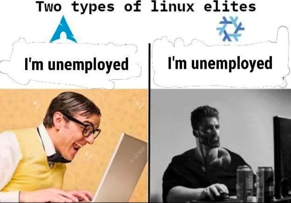 A meme titled "Two types of Linux elites." It contrasts two archetypes of Linux users:

On the left, an exaggerated "nerdy" man wearing glasses and a sweater vest is shown under the Arch Linux logo, with the caption "I'm unemployed."

On the right, a muscular "cool" man sitting at a desk with energy drinks nearby is shown under the NixOS logo, also with the caption "I'm unemployed."


The humor comes from the stereotypical portrayal of Linux users and the irony of their "elite" status despite the identical label of unemployment.
