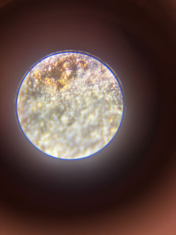 circular image - close up of a rock showing the grains