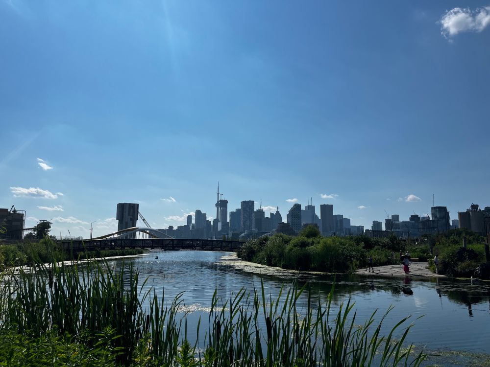 Skyline of Toronto on a sunny day with river and parkland in the forefront 