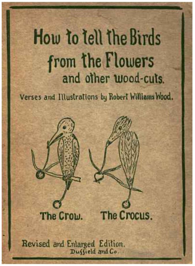 Antiquated book cover for “How to tell the birds from the flowers” - below is an illustration of a crow and a crocus that look whimsically similar! 