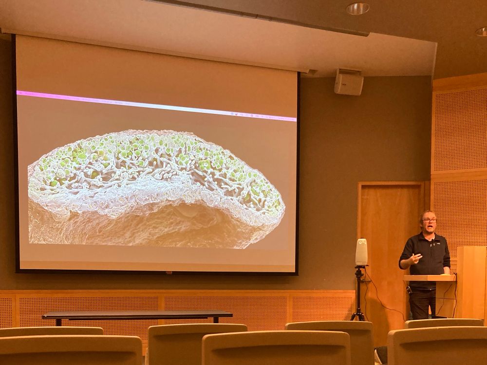 A cross-section of a lichen thallus is projected onto a large screen in a wood-paneled meeting room, with a man standing to the right, dressed in dark colors, talking and gesticulating