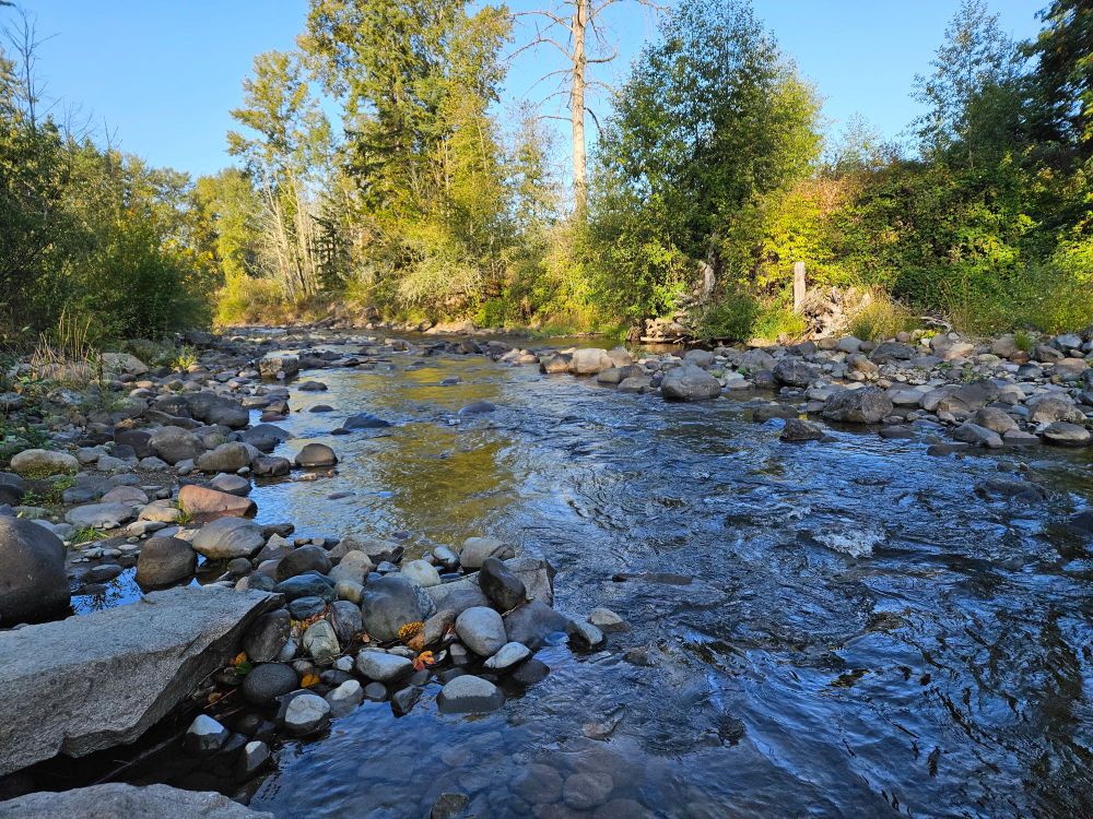 Rapids on the Mashel River.