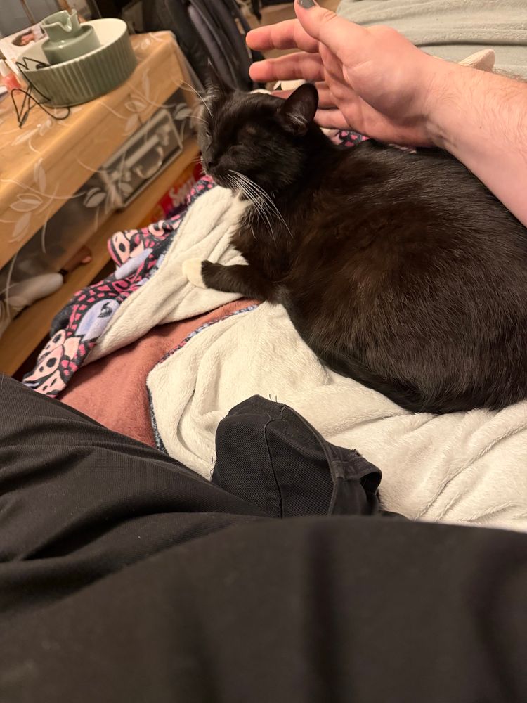 Paku schaut mich mit geschlossenen Augen an 