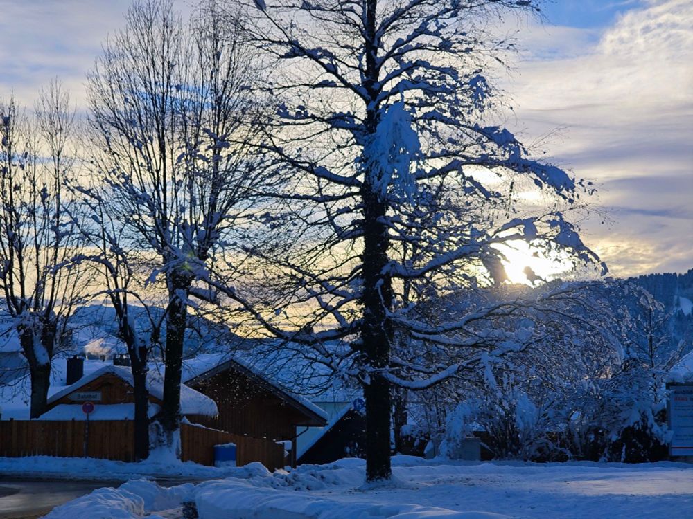 Schneelandschaft mit Bäumen und verschneiten Hütten am Weiher.