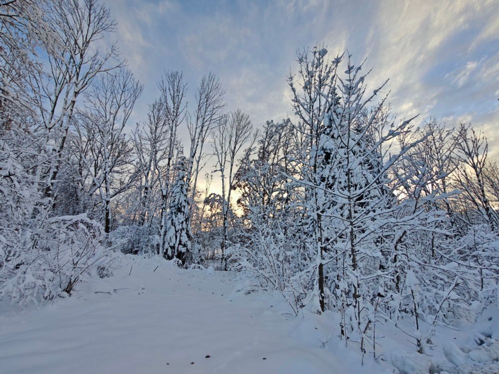 Winterlandschaft mit leichtem Sonnenuntergang.