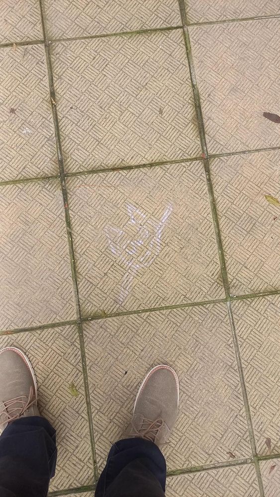 A pink kitty chalked on the pavement of the sidewalk.