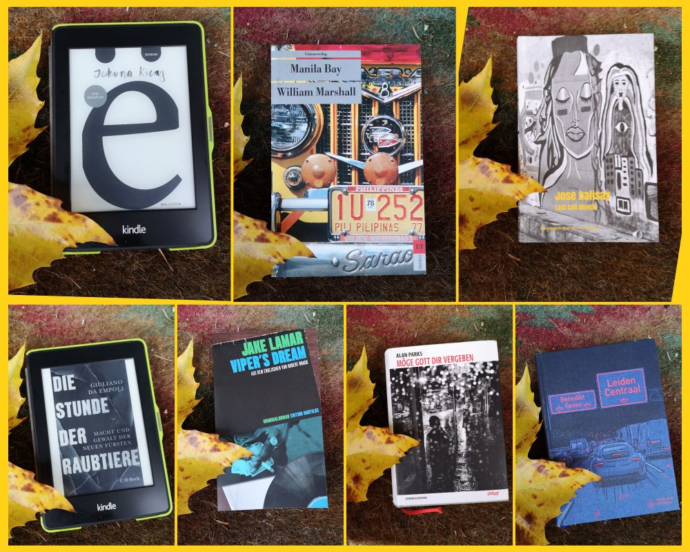 Collage aus sieben Büchern:
A. Parks: Möge Gott dir vergeben
J. Lamar: Viper's Dream
W. Marshall: Manila Bay
G. Da Empoli: Die Stunde der Raubtiere
J. Kicaj: ë 
J. Dalisay: Last Call Manila
B. Feiten: Leiden Centraal