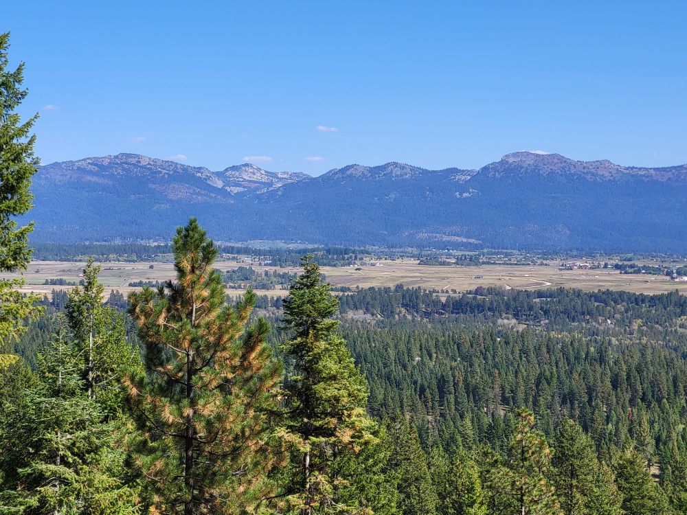 Foreground, a forest of ponderosa pine and Douglas-fir. Center, Long Valley with pastures and homesteads. Beyond the valley is a range of mountains, with blue sky above.