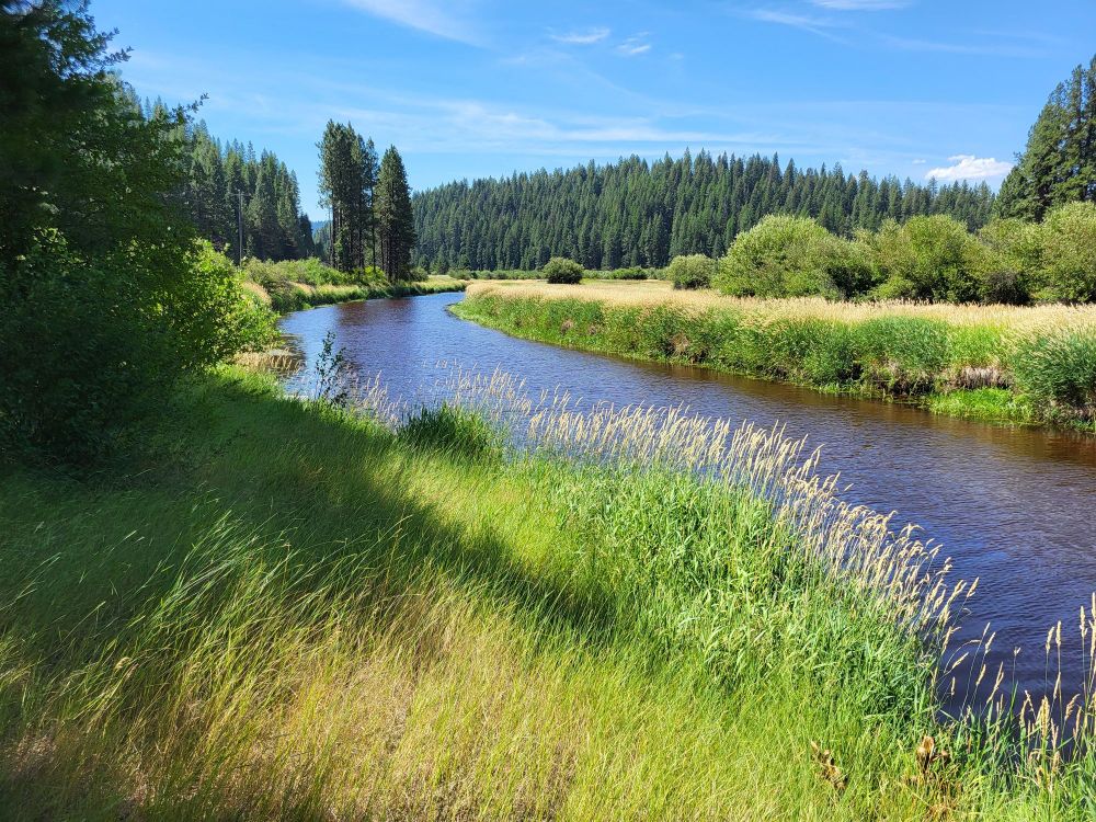 A shallow, winding river dominates the center of the image. The banks are lined with tall grasses, and scrub willows. Beyond the last bend is a forested hillside. Sky is blue with a few cirrus clouds.