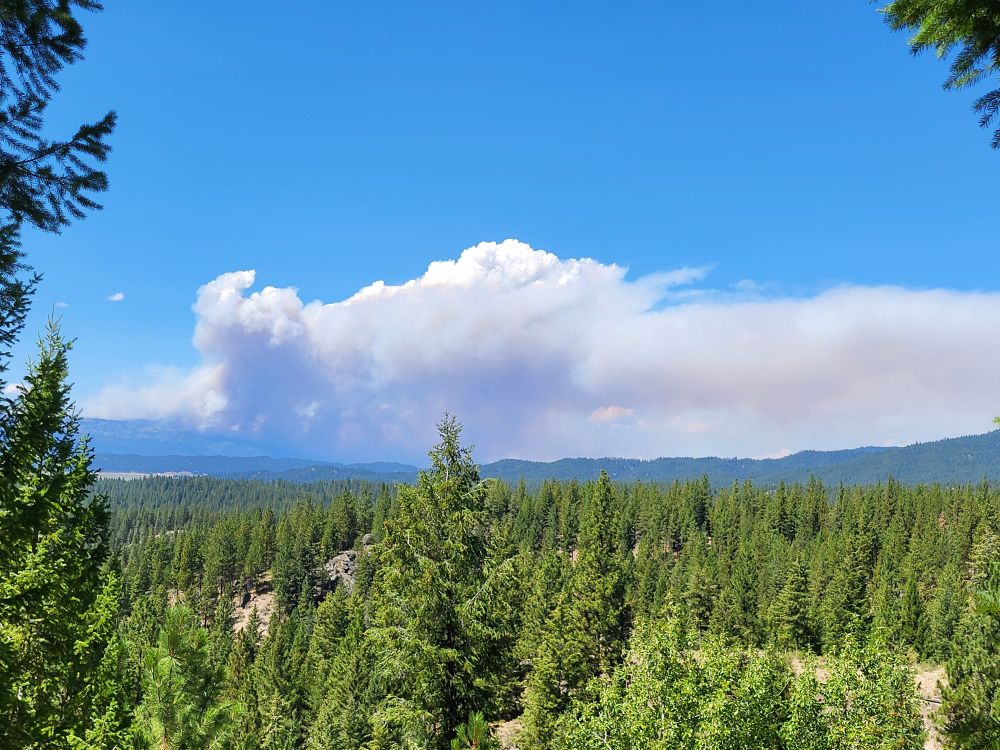 The Rock Fire, as viewed from about 8 miles east of Cascade, Idaho. Picture taken at 2:32pm on August 13. The fire is just beginning to produce clouds above the smoke layer.