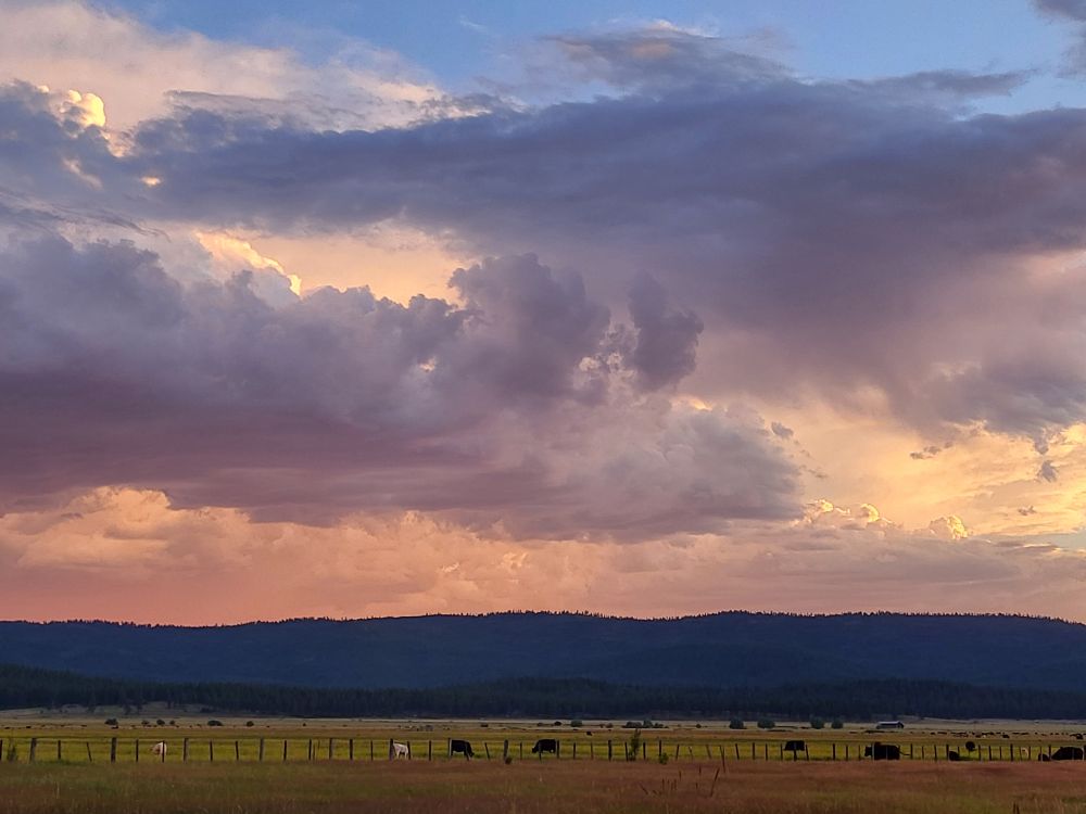 Looking across a valley with pastures populated by cattle. In the distance is a long ridge of similar elevation, covered with trees. The sky takes up most of the picture, showing intersecting cloud formations surrounded by shades of yellow and pink. A strip of blue sky is at the top of the image.