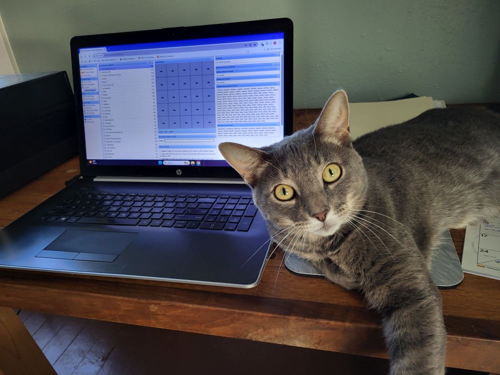 A gray shorthair tabby cat sits to the right of a laptop, completely occupying the mouse pad. He is looking straight at the camera with an expression that seems to say 