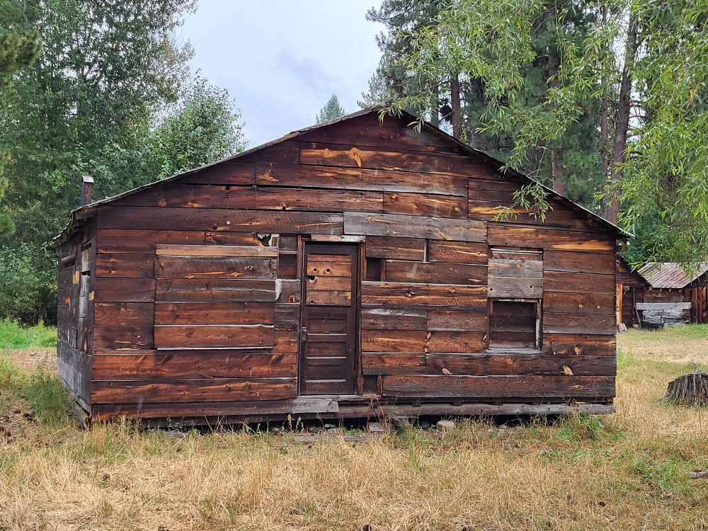 An old shed on a rainy day. The moisture helps to bring out the colors and textures in the wood planks.