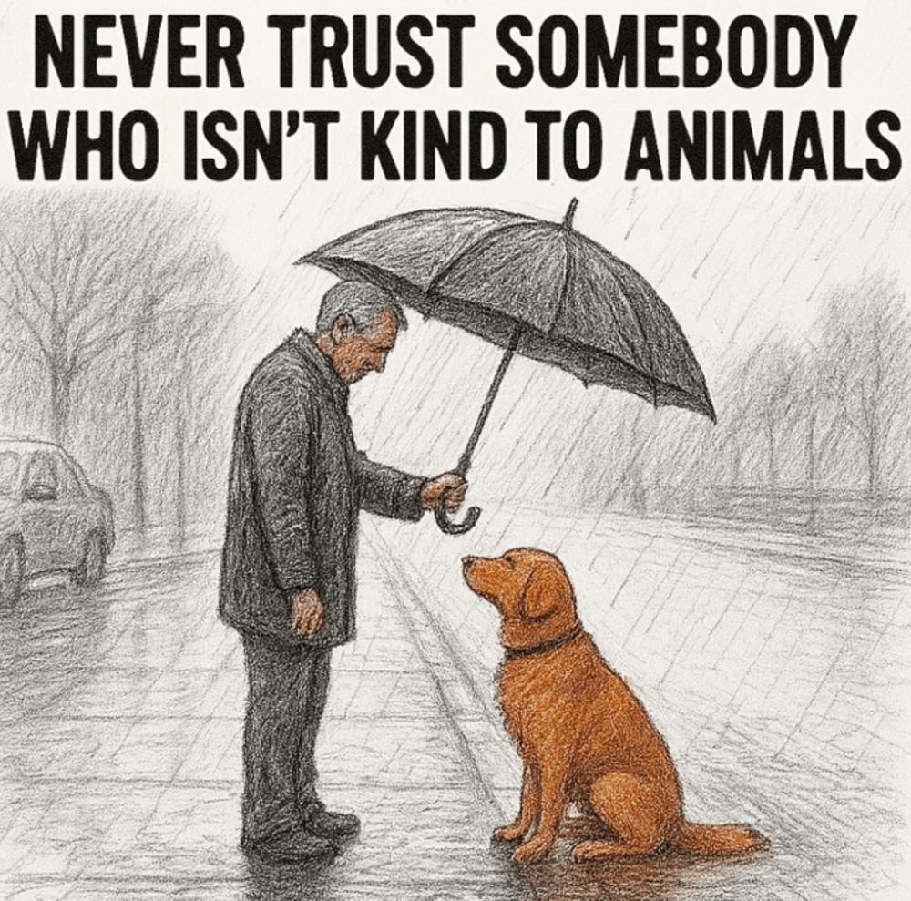 Picture of a man holding an umbrella over a dog with the caption reading, “NEVER TRUST SOMEBODY WHO ISN'T KIND TO ANIMALS.”