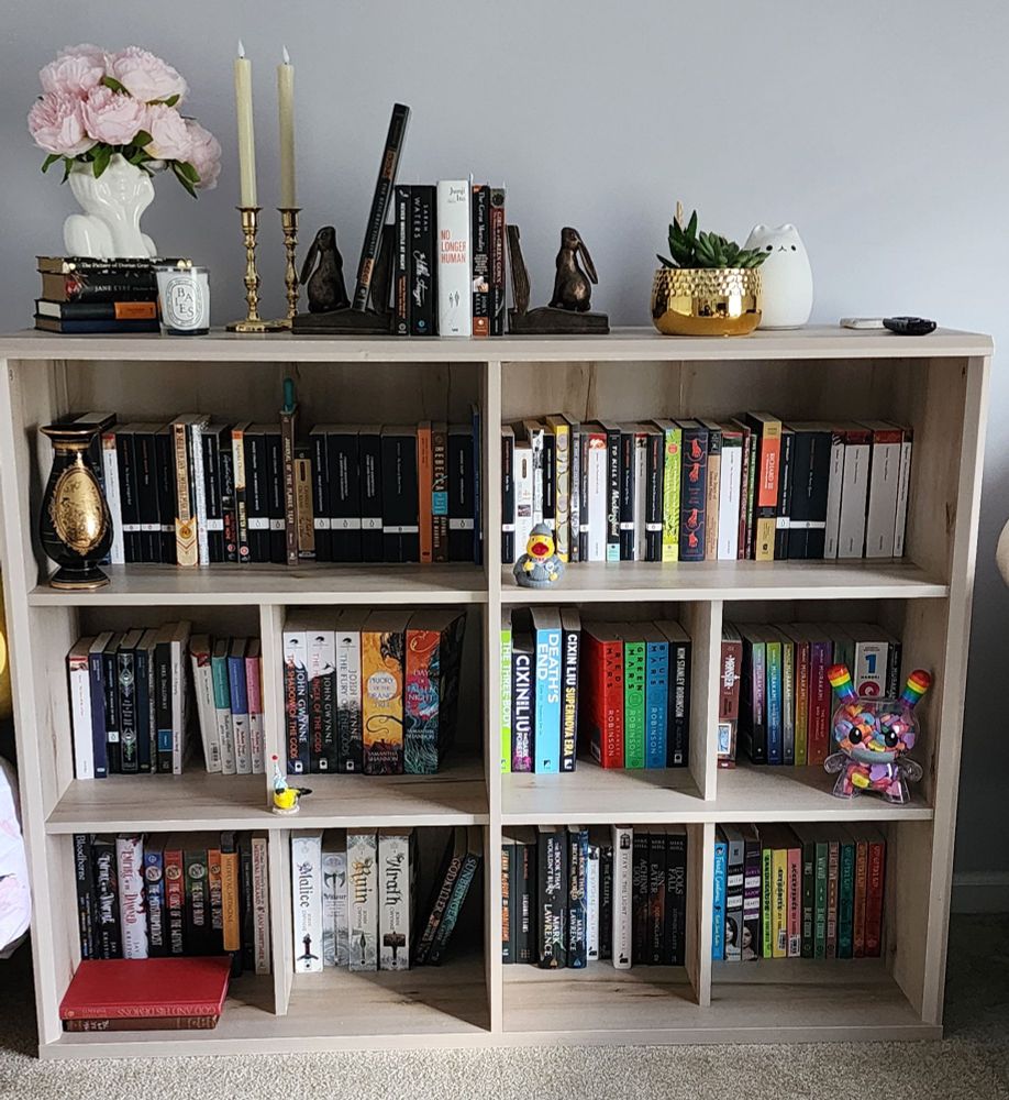 A big bookshelf made of light wood and filled with classic literature and fantasy/sci-fi series. 
