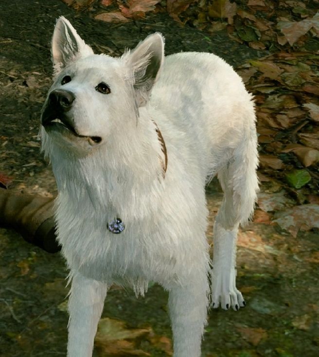 Scratch from Baldur's Gate 3