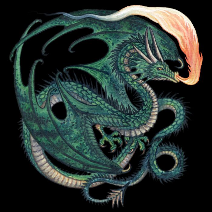 An illustration of a spiny green wyvern dragon with a long tail, breathing fire and smoke. #myart
