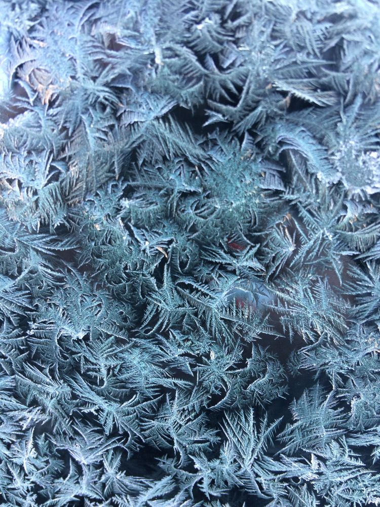 Ein Close-up von Eisblumen auf einer Autoscheibe.