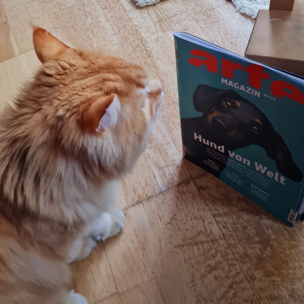 Eine rothaarige Katze sitzt vor dem an einen Stuhl gelehnten arte-Magazin. Auf dem Titel ist ein Dackel, die Titelzeile lautet: Hund von Welt. 