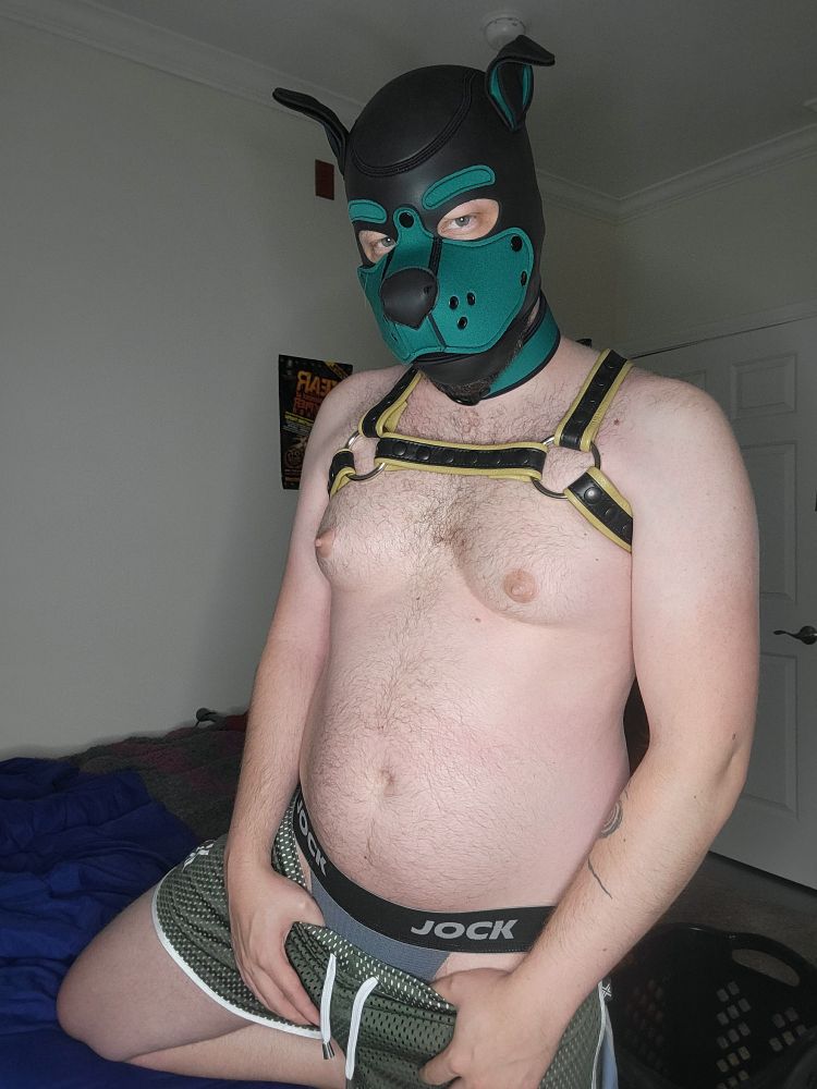 A very good boy in nothing but a leather harness, jockstrap, and some mesh shorts. Wearing a pup hood in dark green.