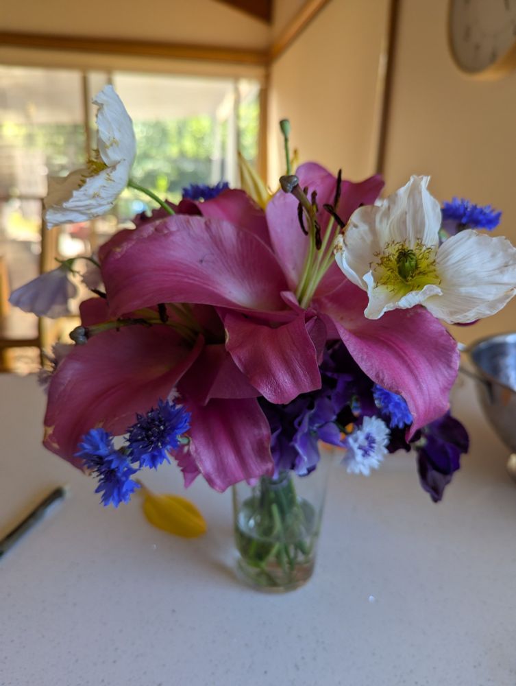 A vase of flowers including cornflowers, Lillies and sweet peas