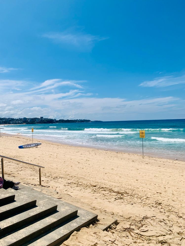 Manly beach
