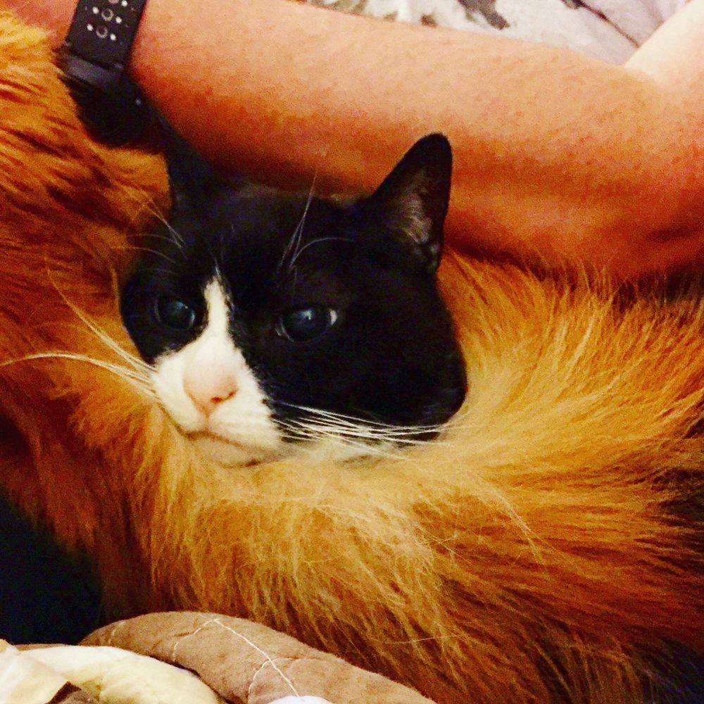 Joey wrapped in Jaxon’s tail. 