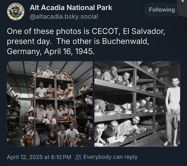 The depth of cruelty, of evil, is apparently bottomless as we see in this picture of American prisoners in El Salvador and Jews in Germany. The Nazis apparently were not defeated. Hail Donald!!