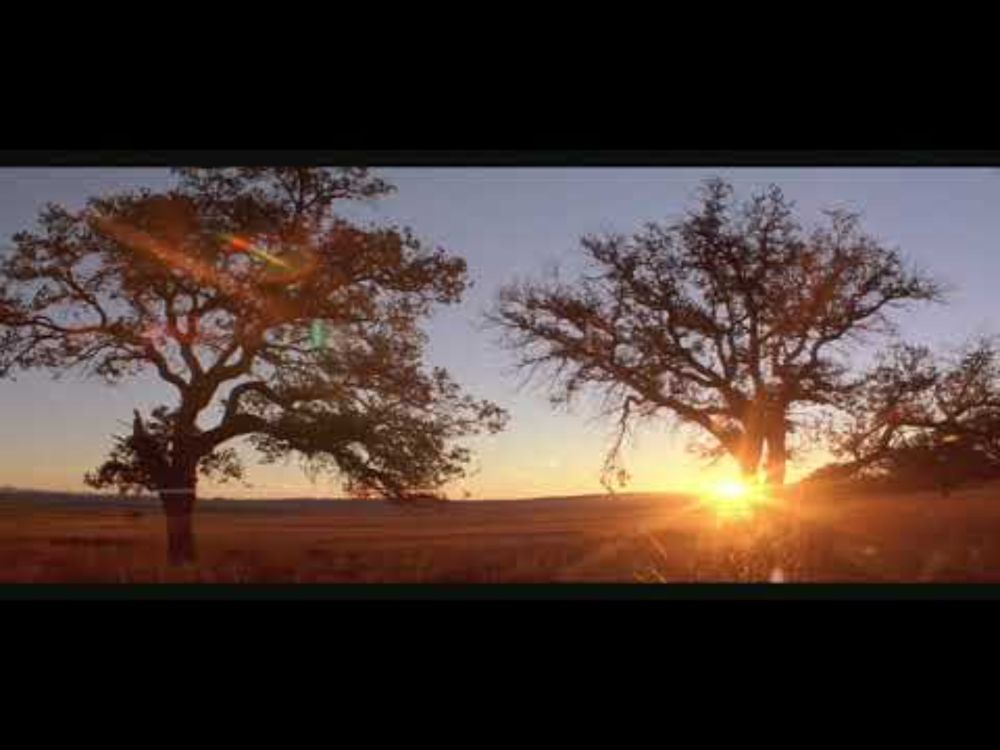 Opening & Closing Shots – Stellet Licht (2007) dir. Carlos Reygadas