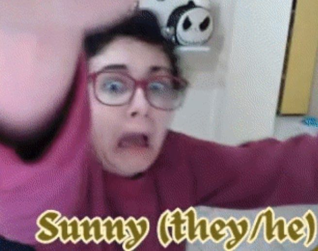 Screenshot of Sunny looking very panicked in the middle of their webcam falling off the monitor