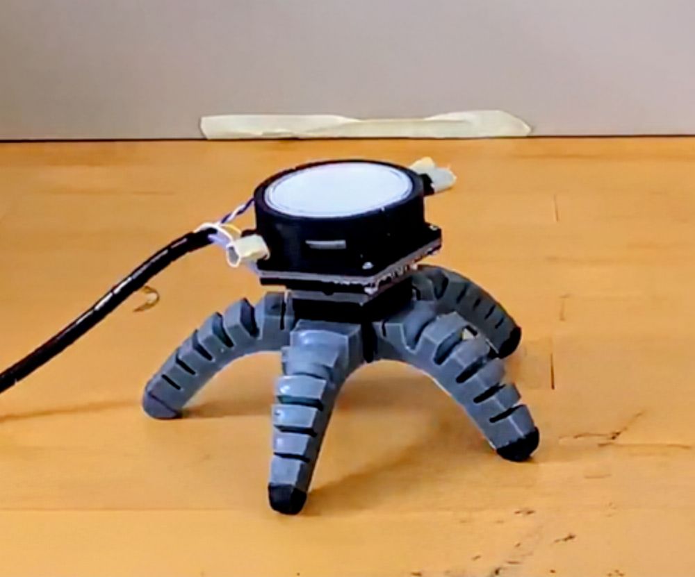 Mushroom is given a robot body and runs wild in fascinating video - Earth.com