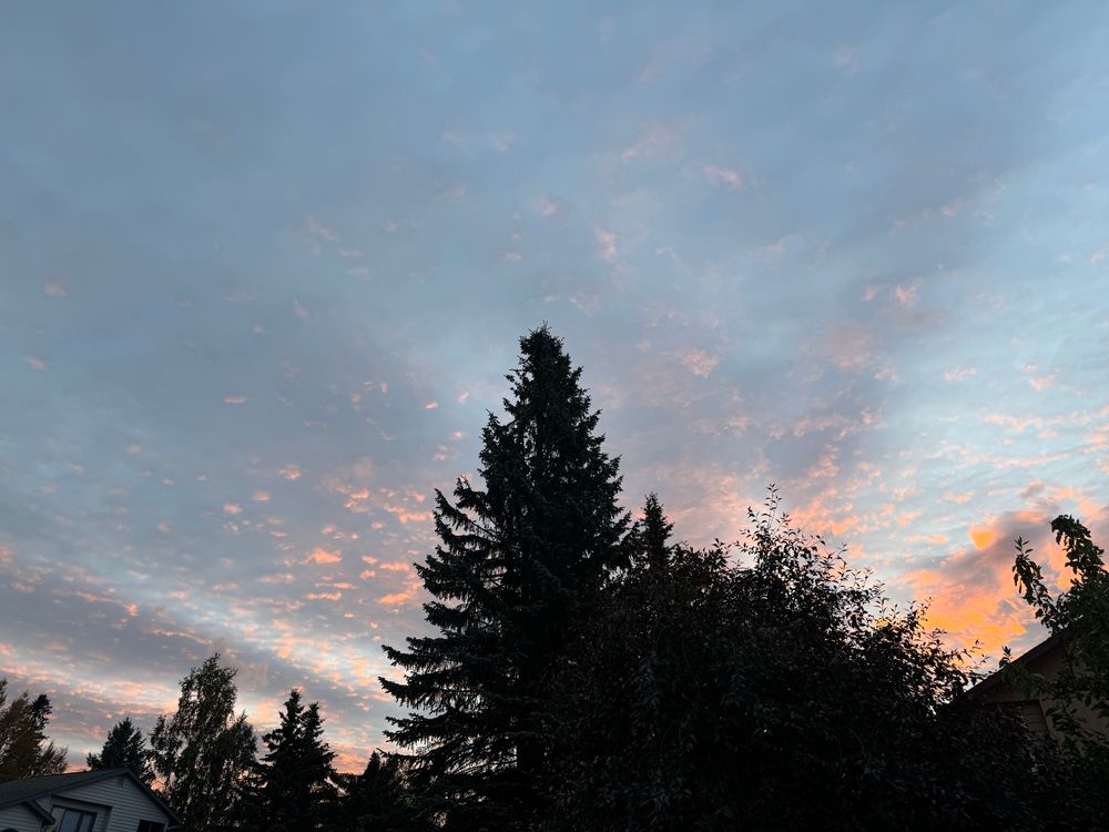 Obscured view of a good sunrise