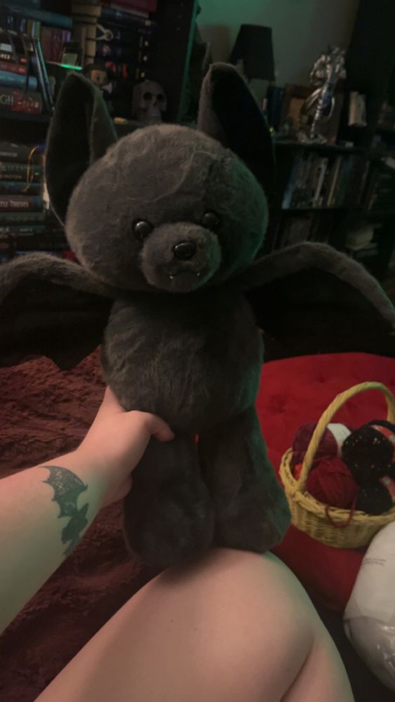 Photo of the Build A Bear Bat Bear