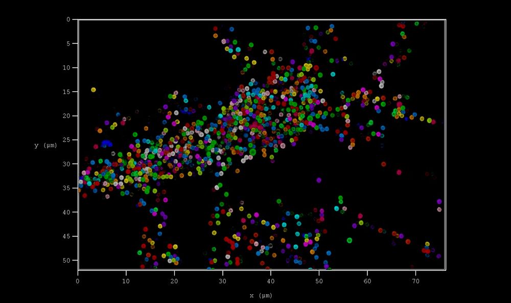15 colour beads - 0.7-0.9 μm | 405-850 nm | 50 X 75 μm image | xy view of a z stack