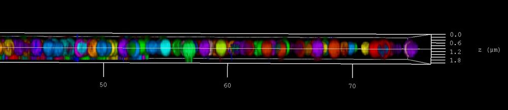 15 colour beads 3D image | 2 μm z view showing all beads from 405 to 850 nm on the same z plane with close to isometric resolution