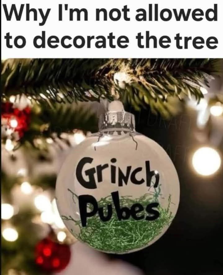 Reads: Why I'm not allowed to decorate the tree. Image: Clear Xmas bulb ornament with green strips of paper in it that reads Grinch Pubes on the outside .
